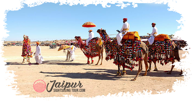 Jaipur Sightseeing Tour 